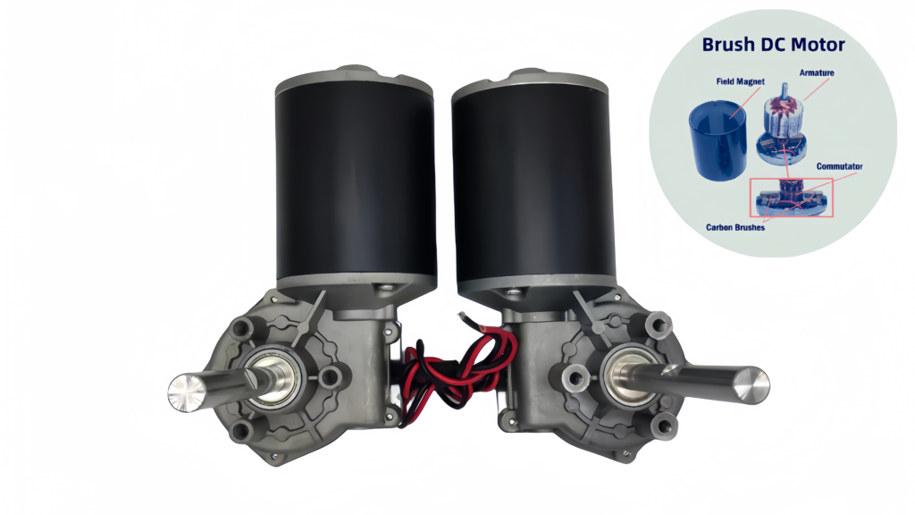brushed DC gear motors with labeled internal structure showing armature, commutator, and carbon brushes - Ruito